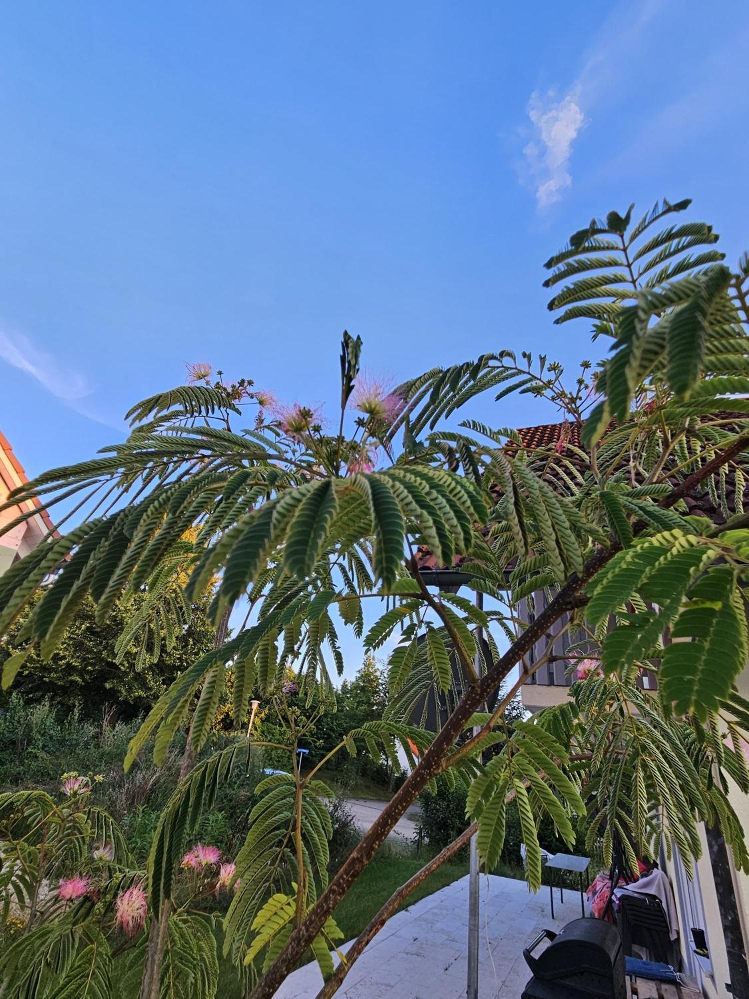 Ferienwohnung Auszeit Solnhofen Exteriér fotografie